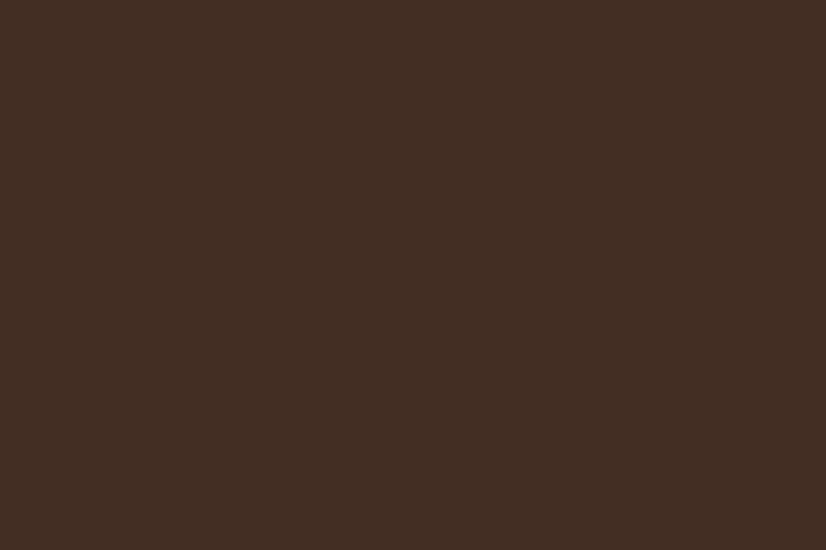 凍らせて食べるチョコレートアイス 凍らせて食べるチョコレートアイス